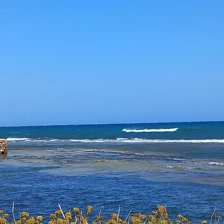 Akrogiali